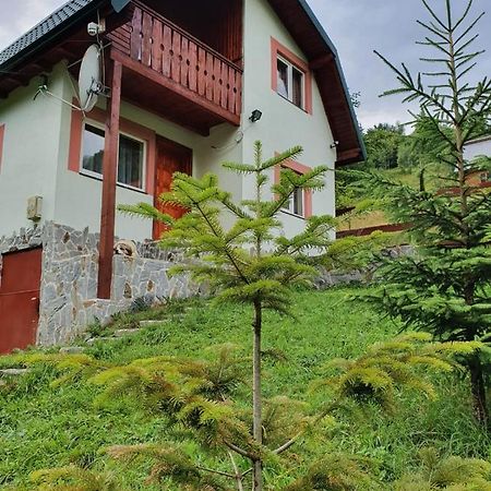 Casa Dor De Ea Villa Dîmbovicioara Buitenkant foto