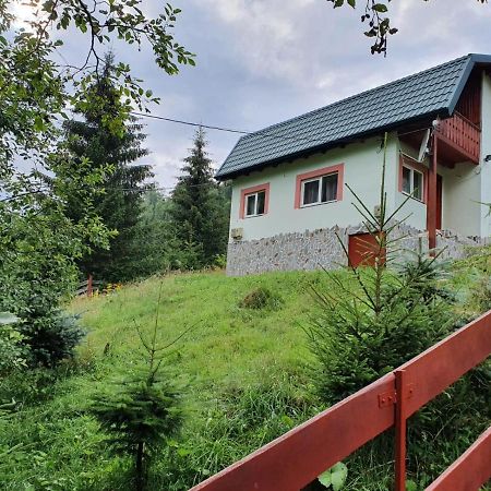 Casa Dor De Ea Villa Dîmbovicioara Buitenkant foto