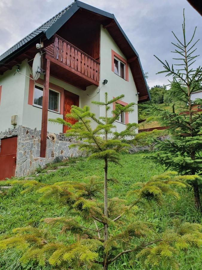 Casa Dor De Ea Villa Dîmbovicioara Buitenkant foto