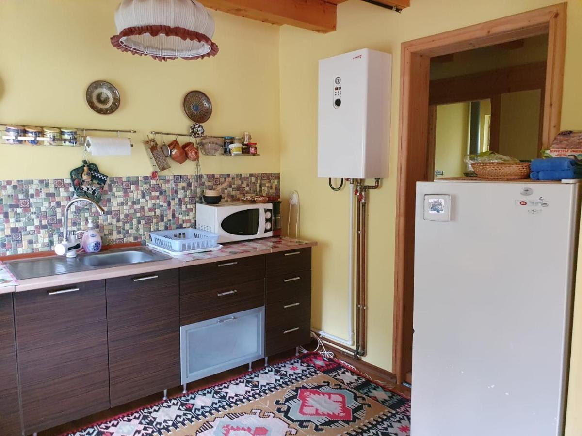 Casa Dor De Ea Villa Dîmbovicioara Buitenkant foto