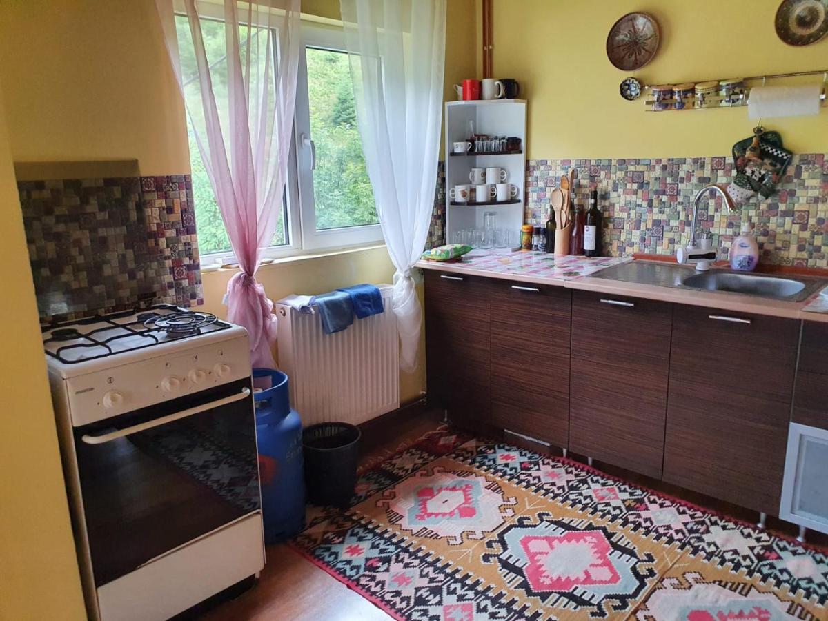 Casa Dor De Ea Villa Dîmbovicioara Buitenkant foto