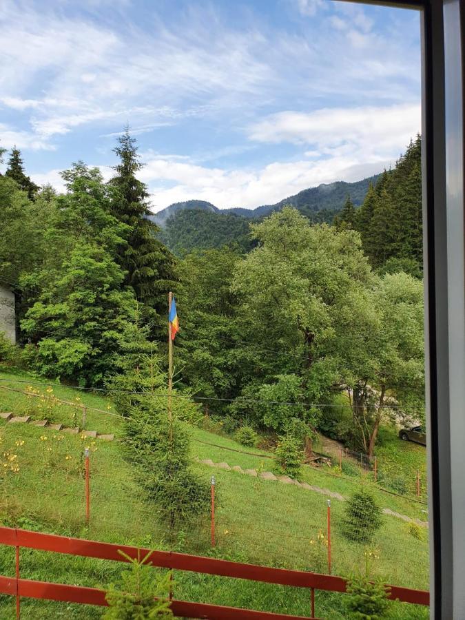 Casa Dor De Ea Villa Dîmbovicioara Buitenkant foto