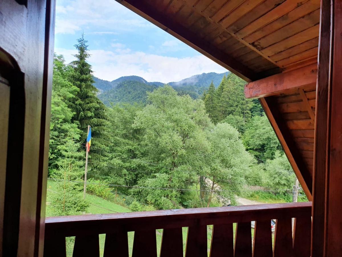 Casa Dor De Ea Villa Dîmbovicioara Buitenkant foto