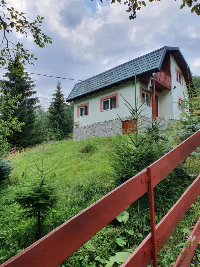 Casa Dor De Ea Villa Dîmbovicioara Buitenkant foto